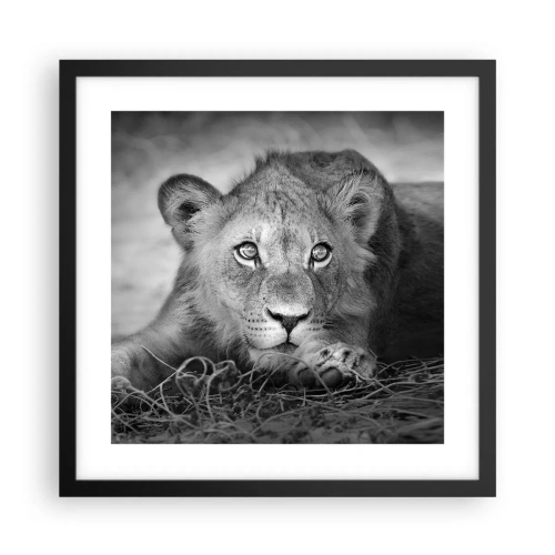 Plakat i sort ramme - Kongelig hvalp - 40x40 cm