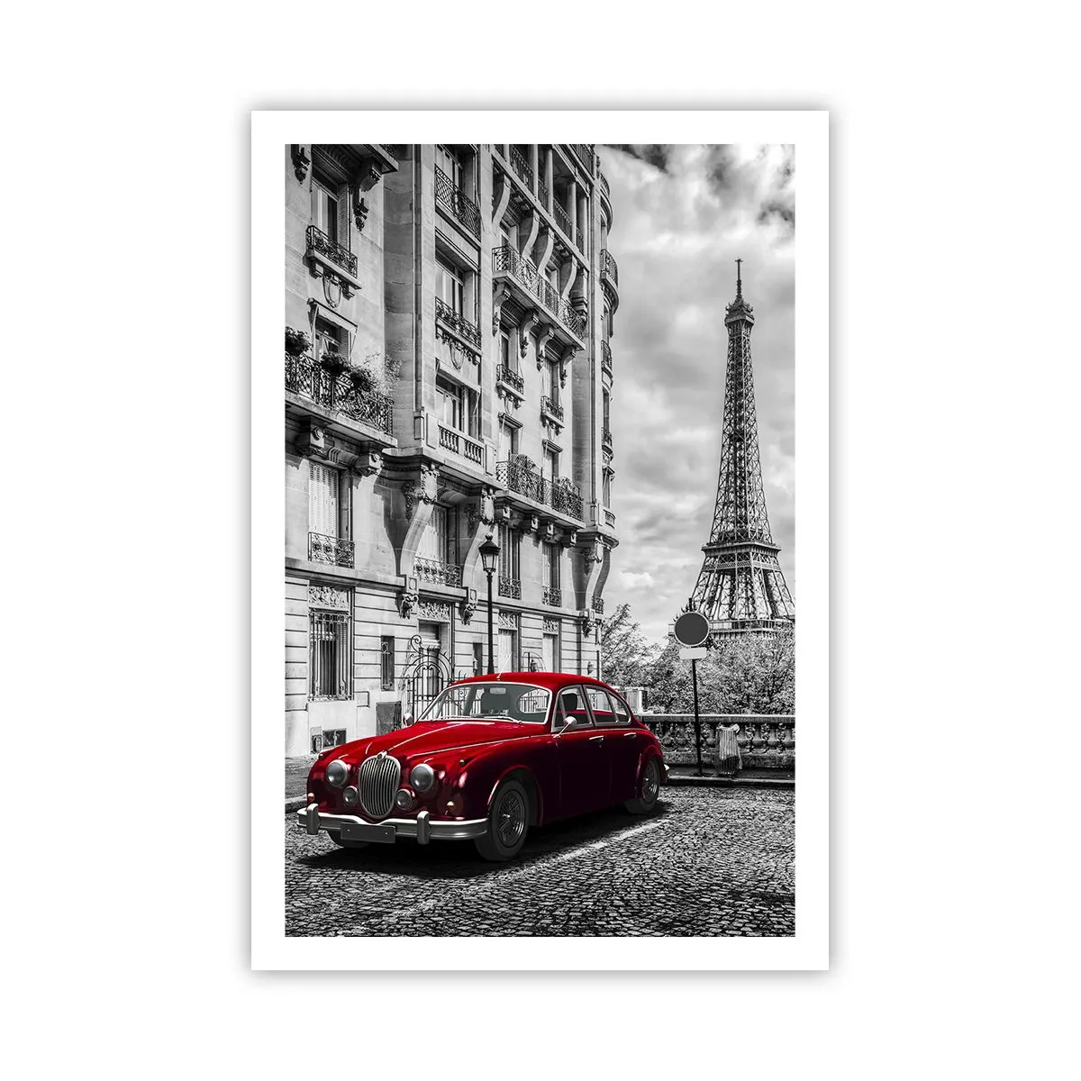 Plakat - Rovdyr i byen - 61x91 cm