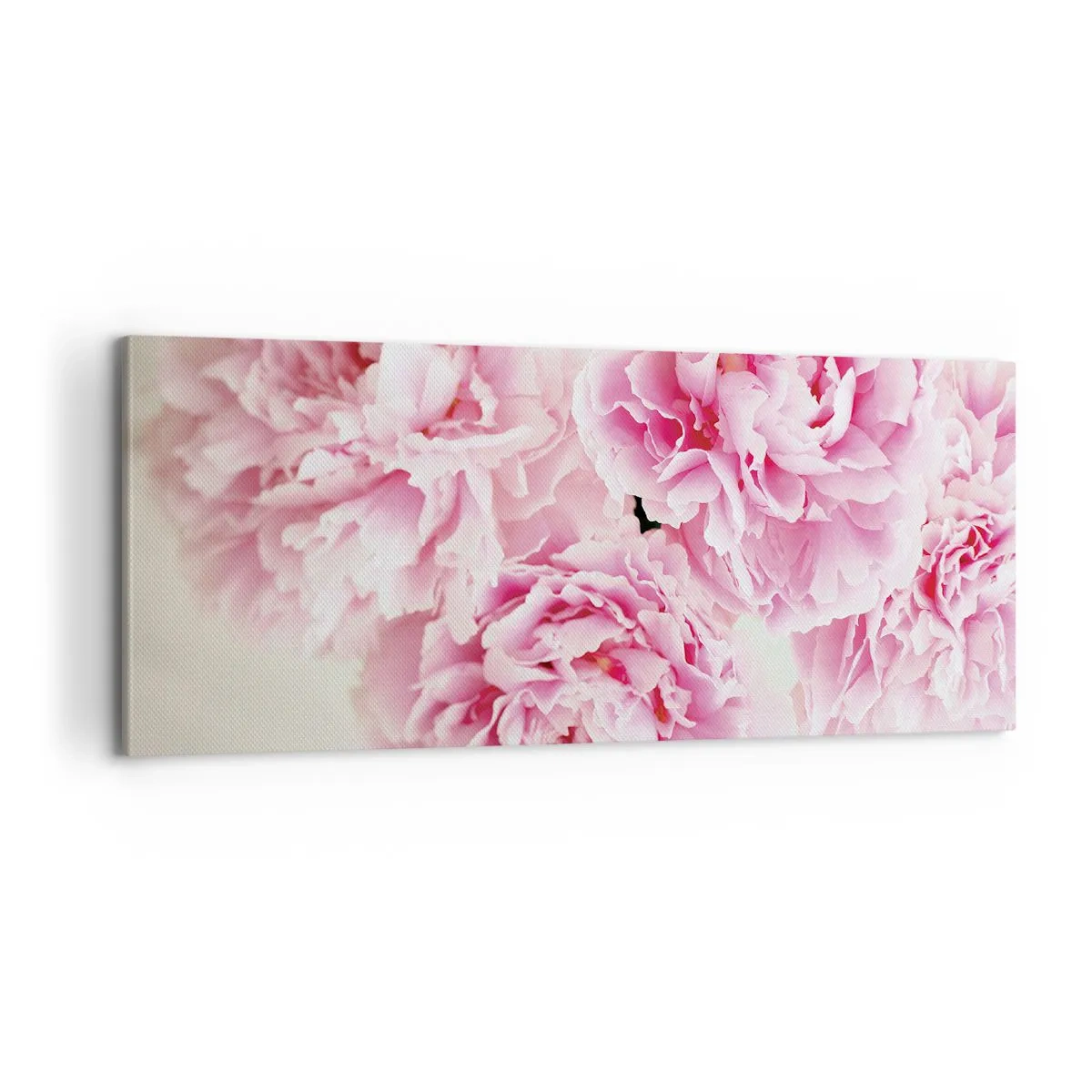 Lærredstryk - Billede på lærred - I lyserød glamour - 100x40 cm