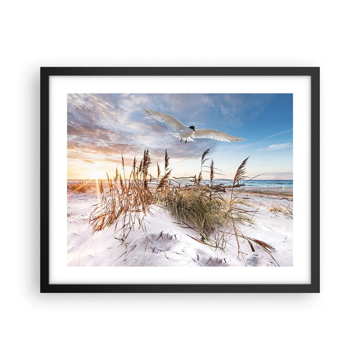 Plakat i sort ramme - Vind fra havet - 50x40 cm