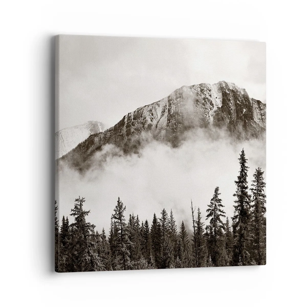 Lærredstryk - Billede på lærred - Granit hersker - 40x40 cm