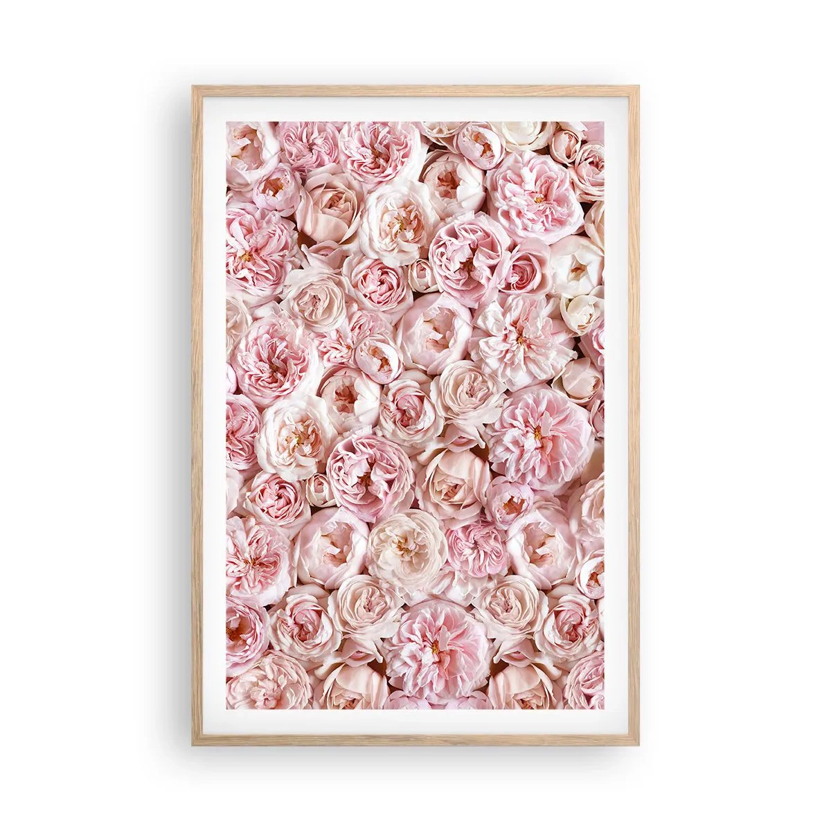Plakat i ramme af lyst egetræ - Overstrøet med roser - 61x91 cm