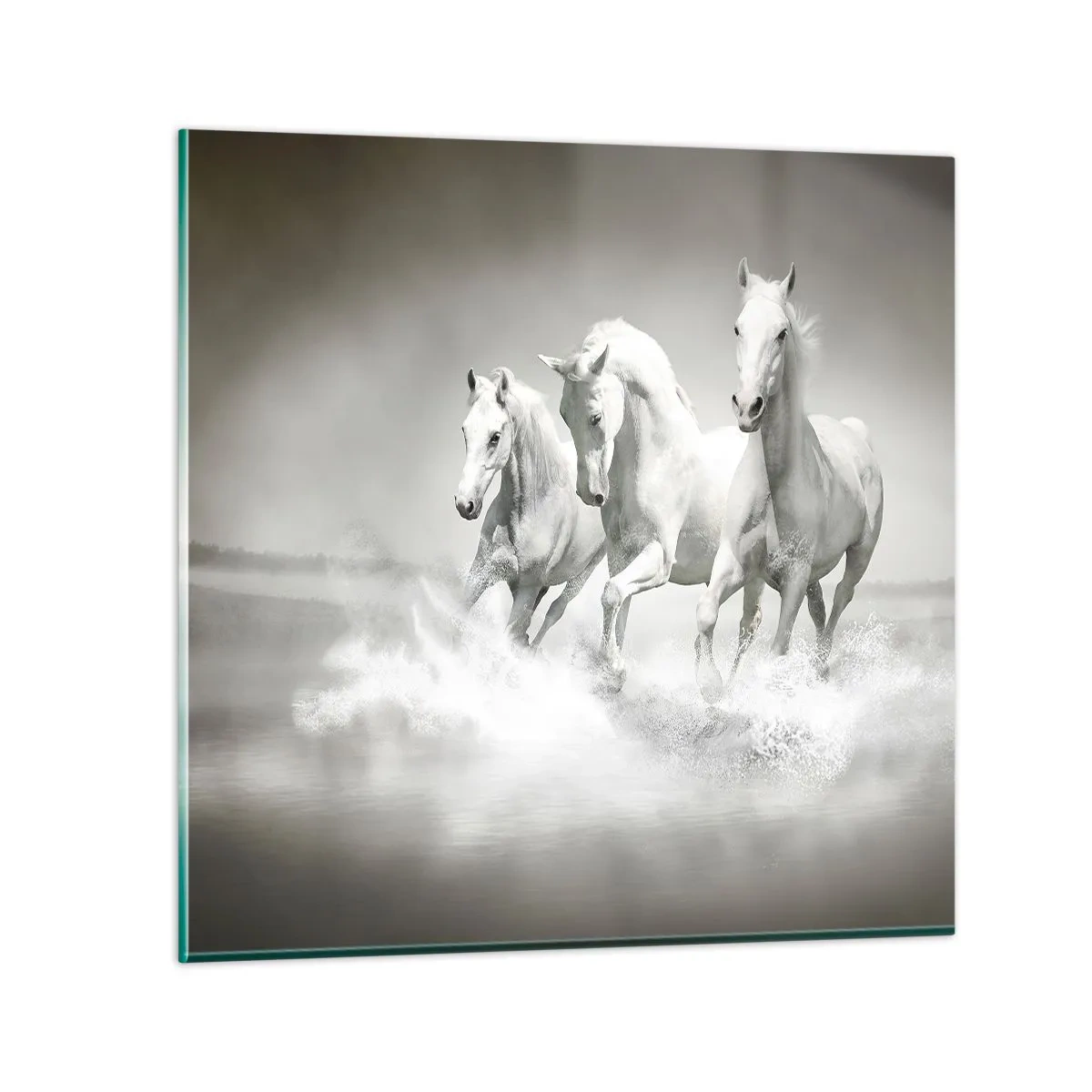Billede på glas - Hvid galskab - 40x40 cm