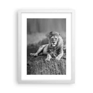 Plakat i hvid ramme - Kongelig siesta - 30x40 cm