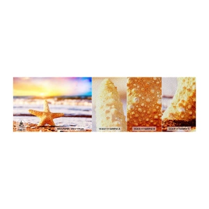 Prøve Fototapet Premium Sand - Maritime gave - Søstjerne, Strand, Ocean - 100x30 cm
