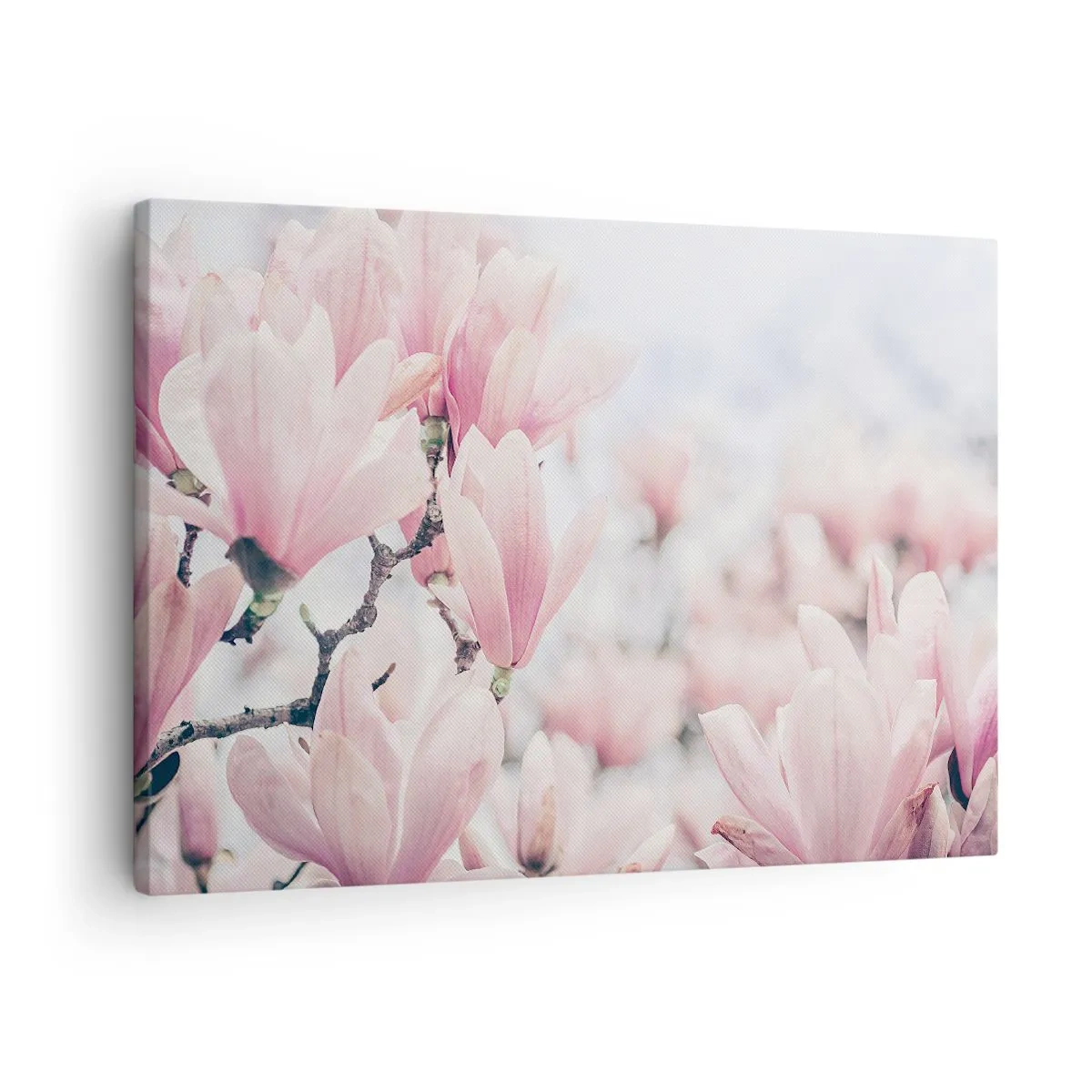 Lærredstryk - Billede på lærred - Diskrete magnoliablomster i sarte lyserøde nuancer - 70x50cm - Idealet om subtilitet - Moderne vægdekoration til stue og soveværelse ARTTOR