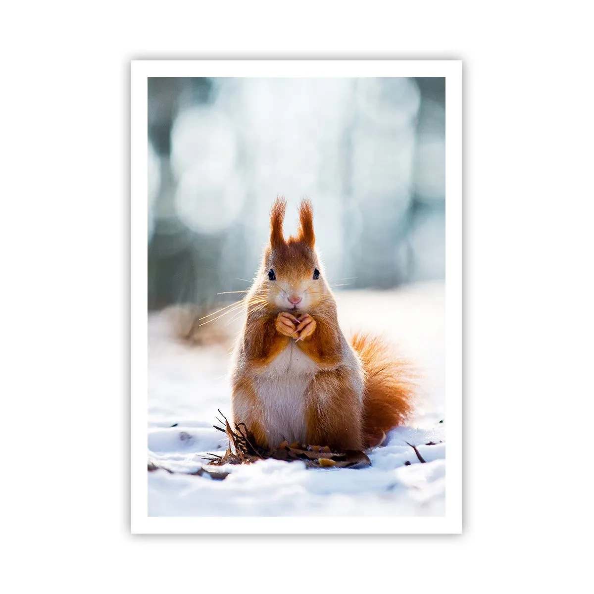 Plakat - Og hvad kigger du på? - 70x100 cm