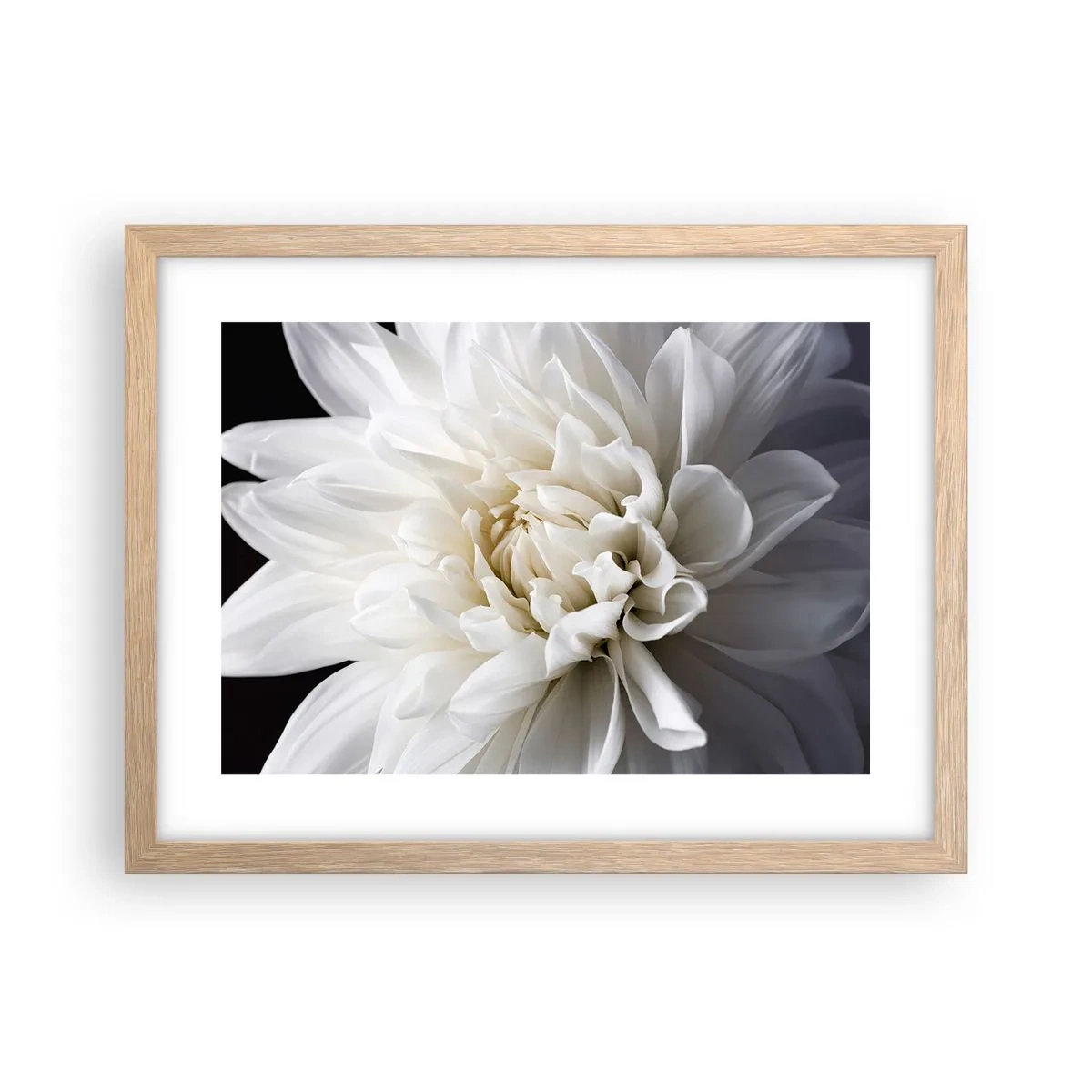 Plakat i ramme af lyst egetræ - Morgenbrud - 40x30 cm