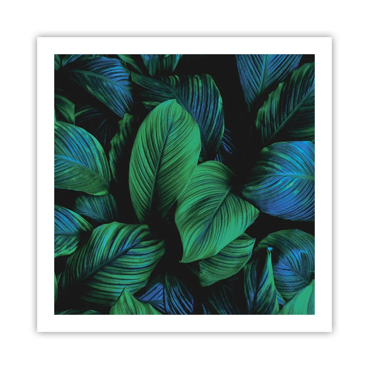 Plakat - I den grønne flok - 60x60 cm