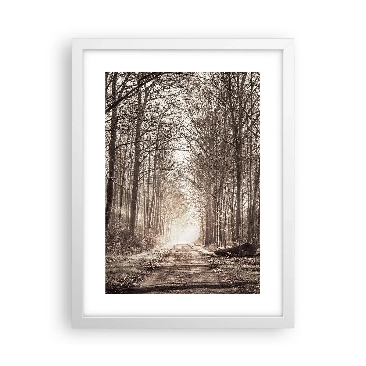 Plakat i hvid ramme - Skovkatedralen - 30x40 cm