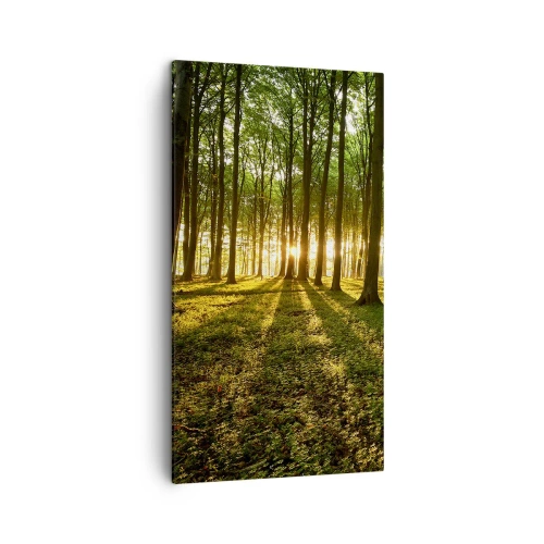 Lærredstryk - Billede på lærred - Fotografering af alle fjedre - 45x80 cm