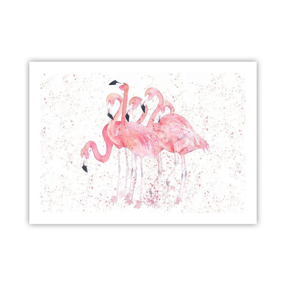 Plakat - Lyserød ansambl - 70x50 cm