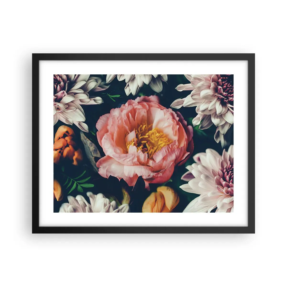 Plakat i sort ramme - Med barok pragt - 50x40 cm