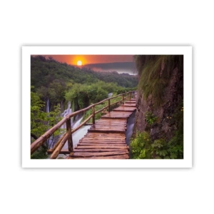 Plakat - En utrolig skønhed - 70x50 cm