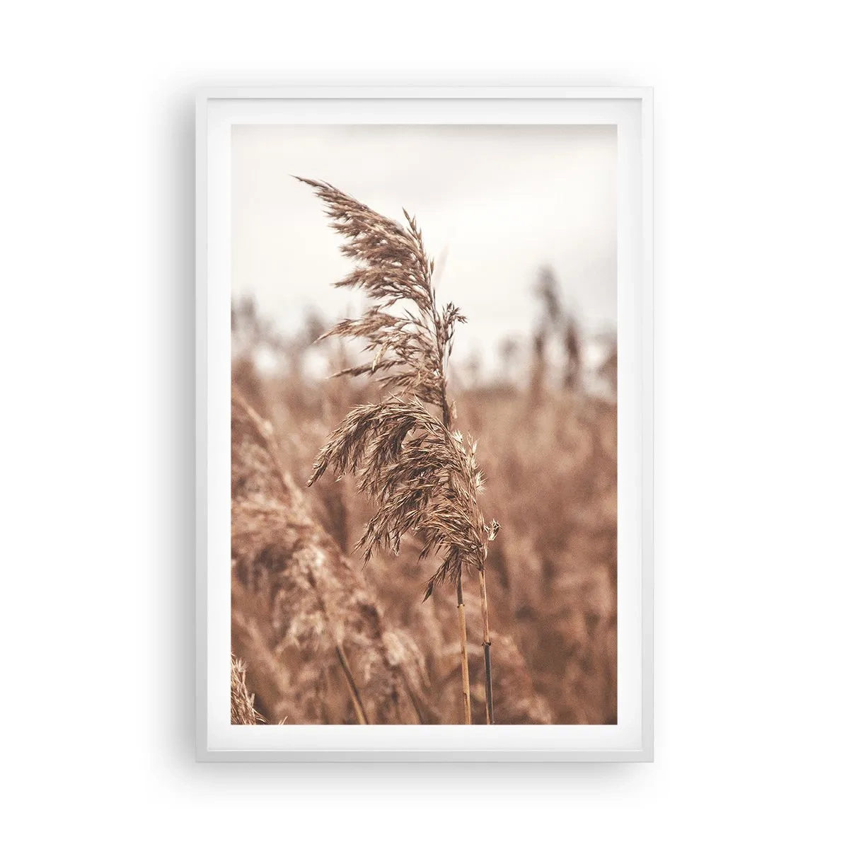 Plakat i hvid ramme - Efteråret er allerede på markerne - 61x91 cm