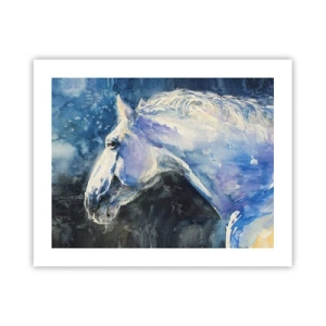 Plakat - Portræt i et blåt skær - 50x40 cm