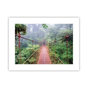 Plakat - Ophængt over kronerne - 40x30 cm