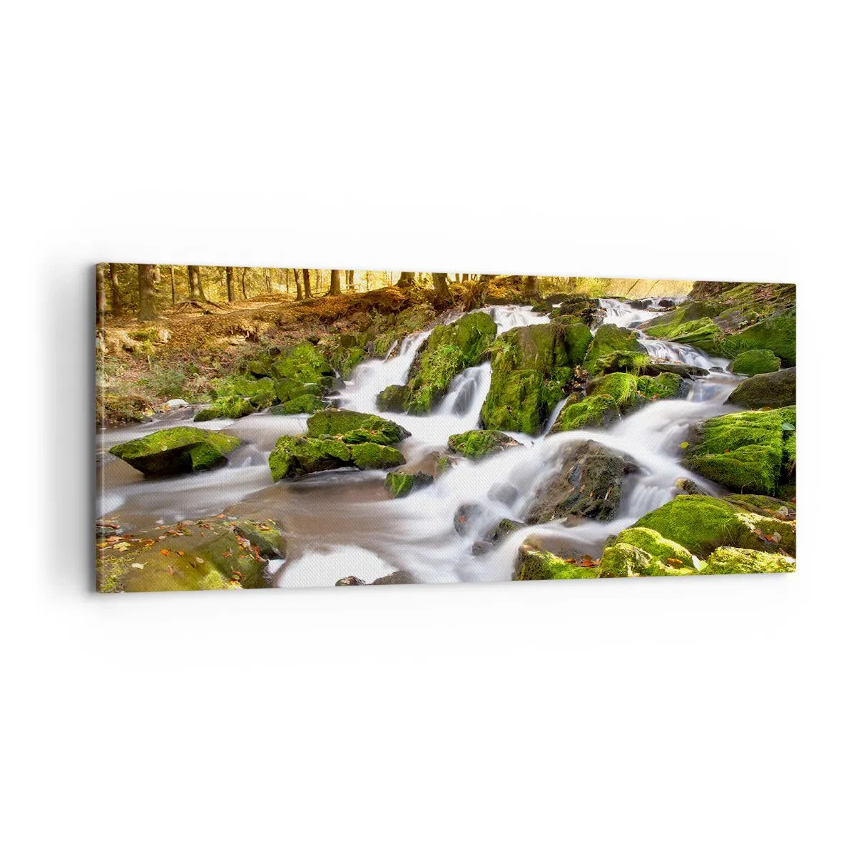 Lærredstryk - Billede på lærred - Bystrøm gennem efterårsskoven - 100x40 cm