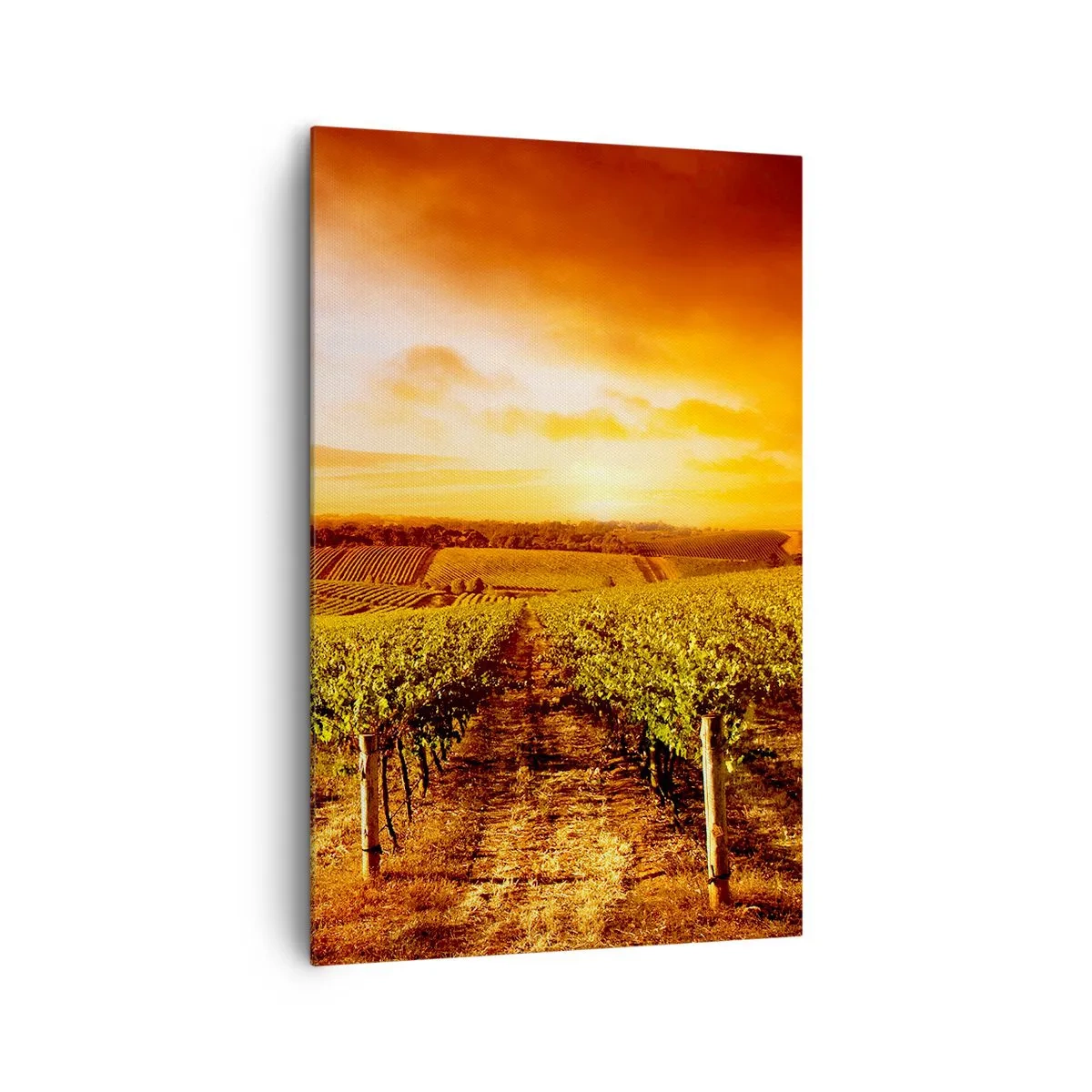 Lærredstryk - Billede på lærred - Delikat frugtagtig med et strejf af solskin - 80x120 cm