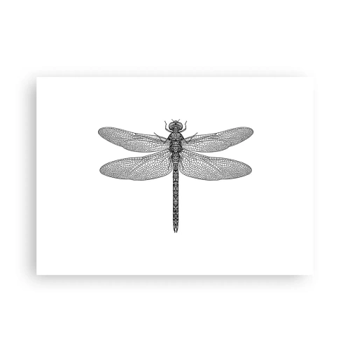 Plakat - Præcision i naturen - 70x50 cm