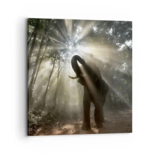 Lærredstryk - Billede på lærred - Under en lykkelig stjerne - 70x70 cm