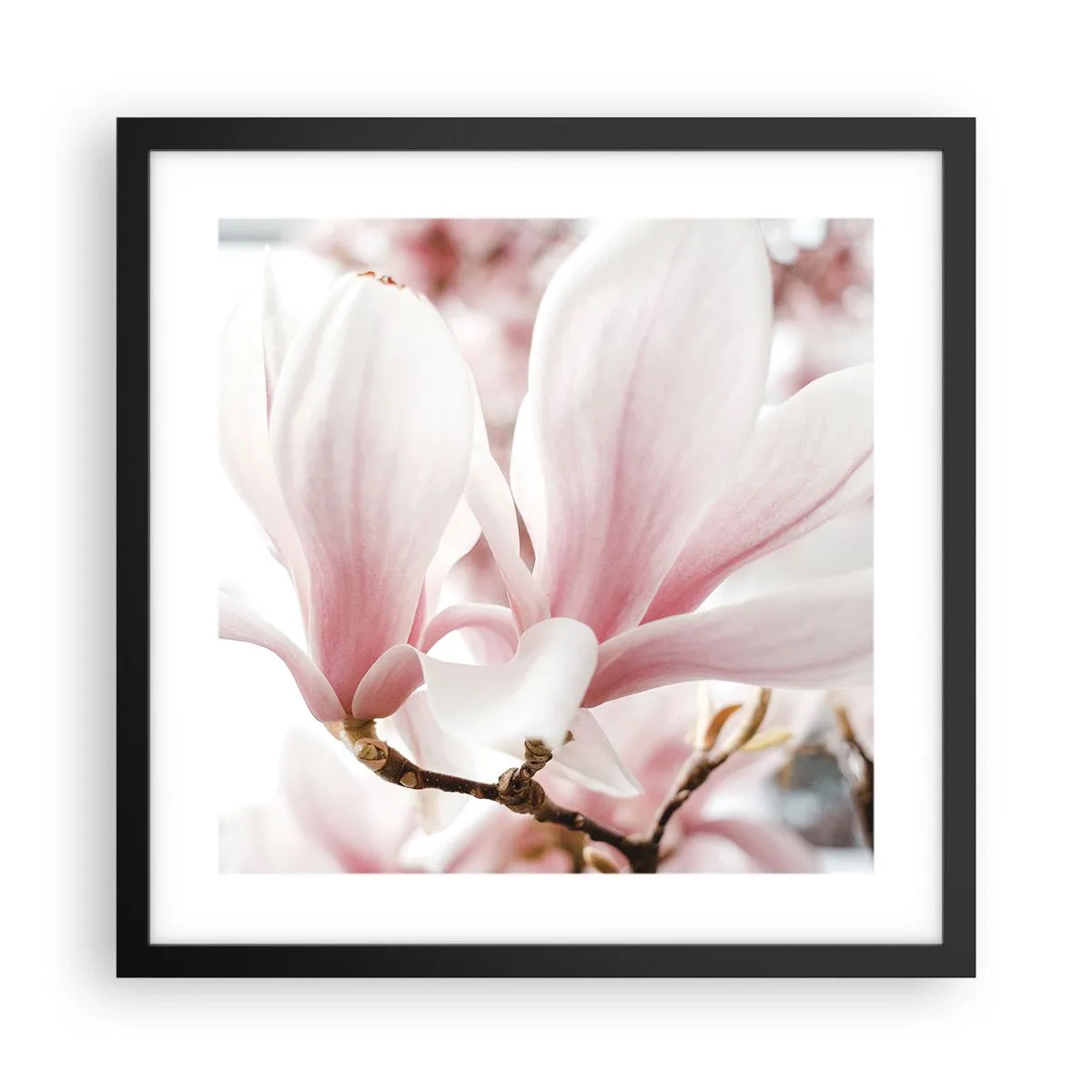 Plakat i sort ramme - Ømhedens umådelighed - 40x40 cm