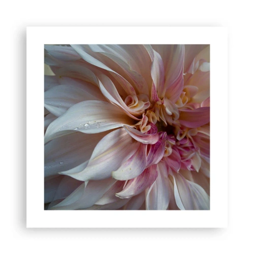 Plakat - Blomstrende friskhed - 40x40 cm