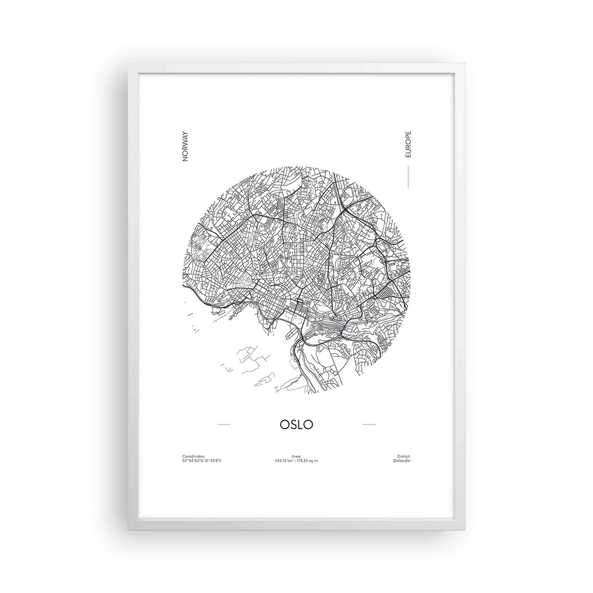 Plakat i hvid ramme - Anatomi af Oslo - 50x70 cm