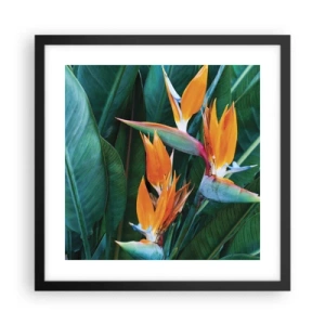Plakat i sort ramme - Er det en blomst eller er det en fugl? - 40x40 cm