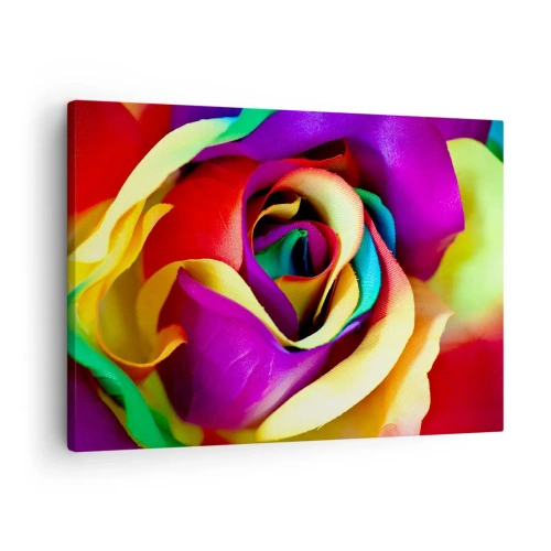 Lærredstryk - Billede på lærred - En farverig rose i regnbuens nuancer - 70x50cm - Dette er umuligt - Moderne vægdekoration til stue og soveværelse ARTTOR