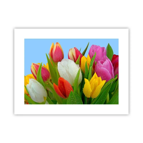 Plakat - En blomstret regnbue i dugdråber - 40x30 cm