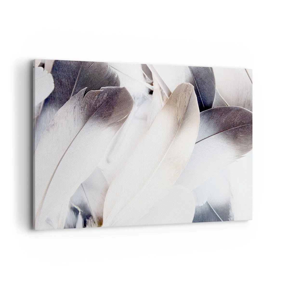 Lærredstryk - Billede på lærred - Næsten engleagtig - 120x80 cm