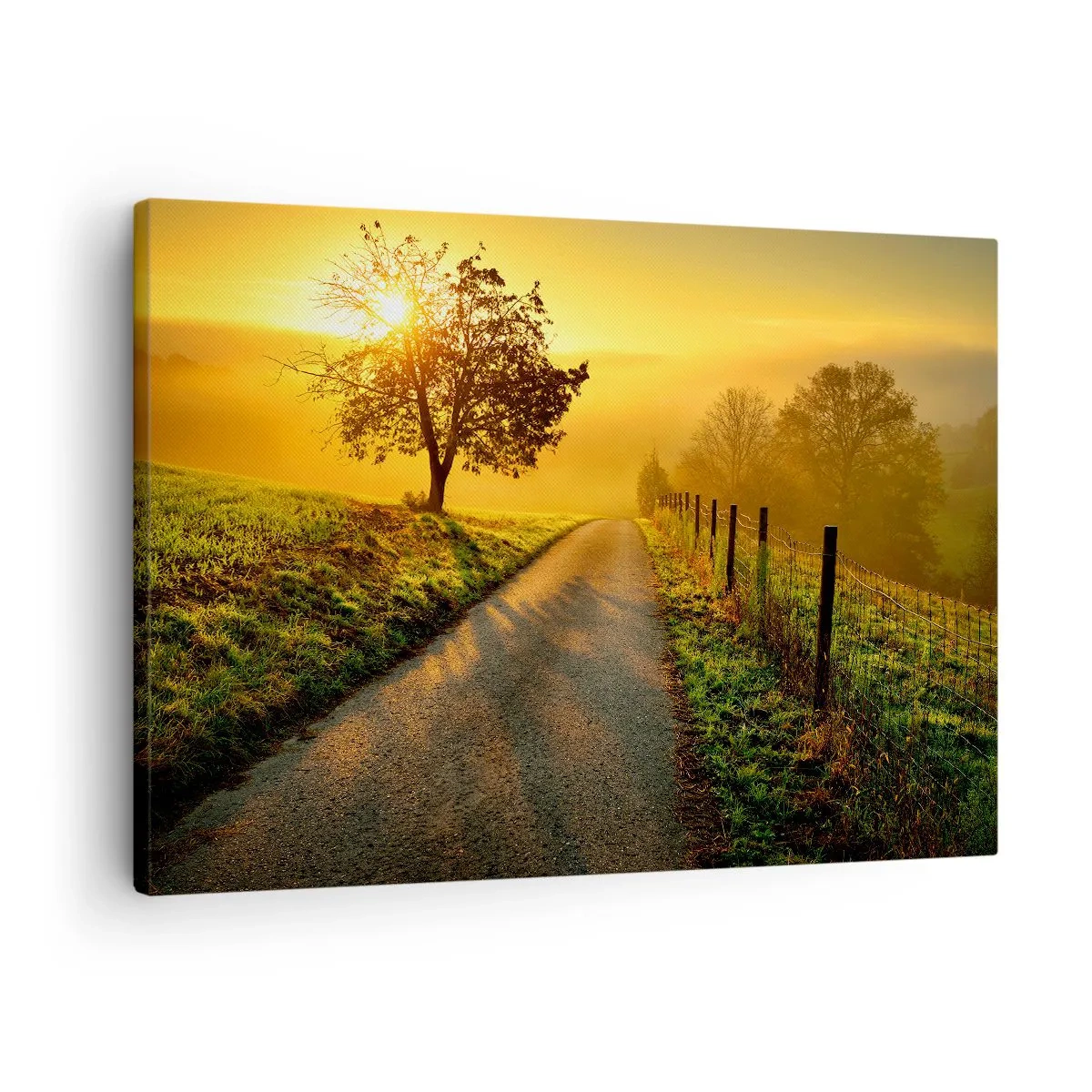 Lærredstryk - Billede på lærred - En malerisk vej ved solnedgang med et ensomt træ i baggrunden - 70x50cm - Kære eftermiddag - Moderne vægdekoration til stue og soveværelse ARTTOR