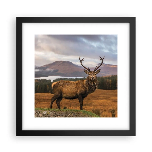 Plakat i sort ramme - Naturens majestæt - 30x30 cm