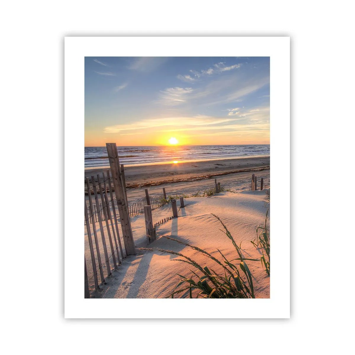 Plakat - Vindens blænding og skygge - 40x50 cm