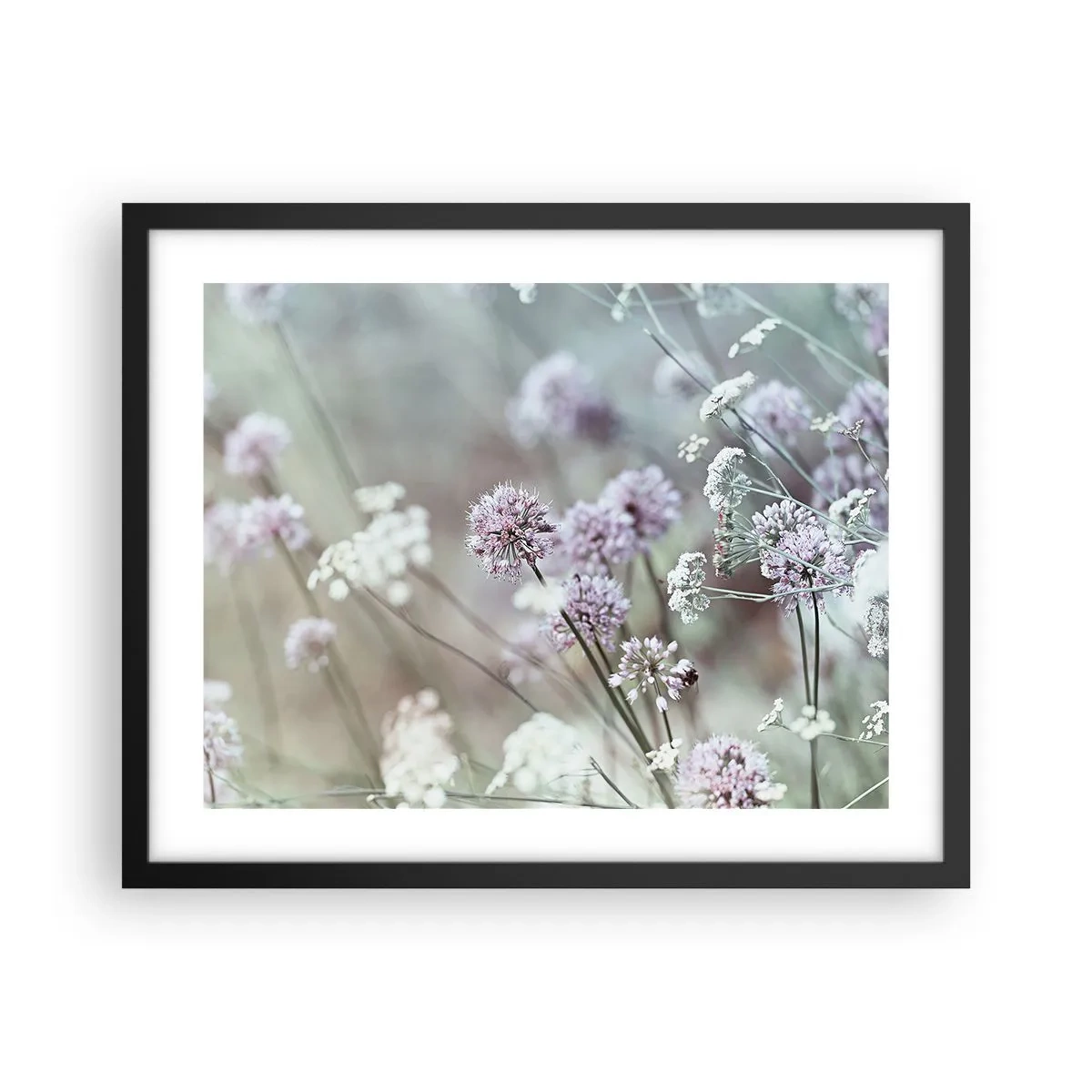 Plakat i sort ramme - Søde filigranurter - 50x40 cm