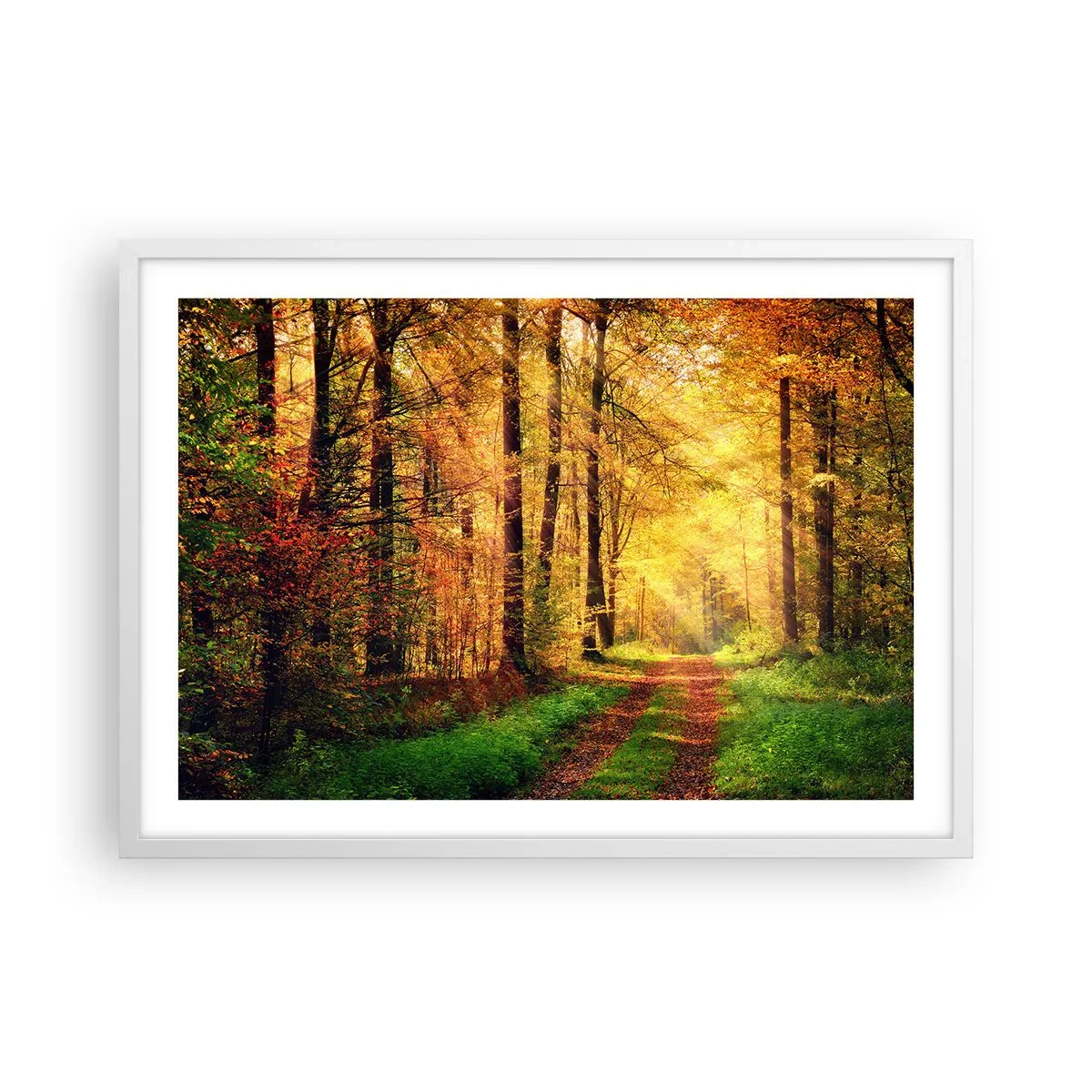 Plakat i hvid ramme - Skovgylden stilhed - 70x50 cm