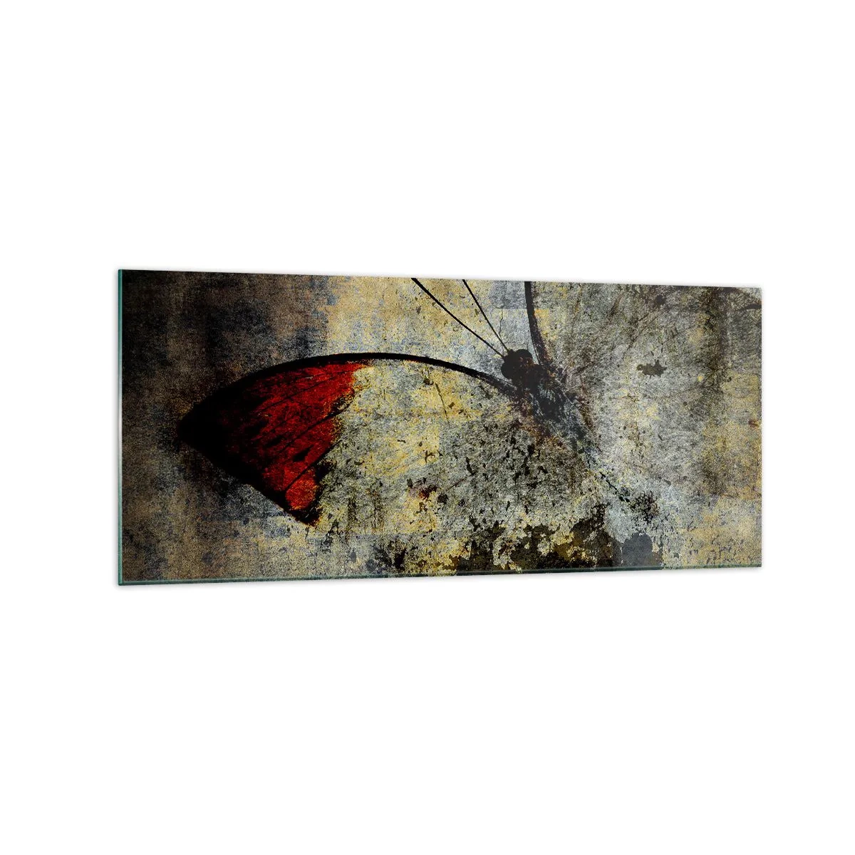 Billede på glas - Se, før jeg forsvinder - 120x50 cm