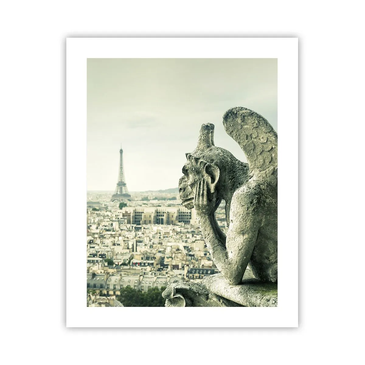 Plakat - Parisisk chat - 40x50 cm