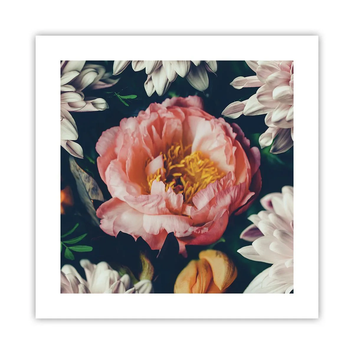 Plakat - Med barok pragt - 40x40 cm