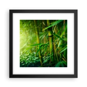 Plakat i sort ramme - Lær selve det grønne at kende - 30x30 cm