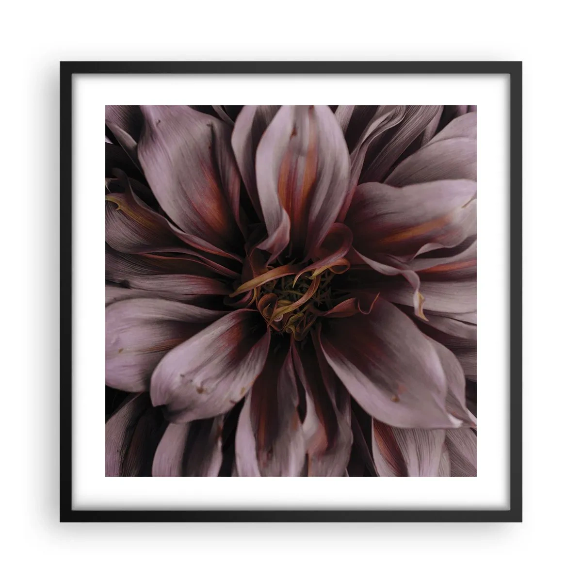 Plakat i sort ramme - Blomstret hjerte - 50x50 cm