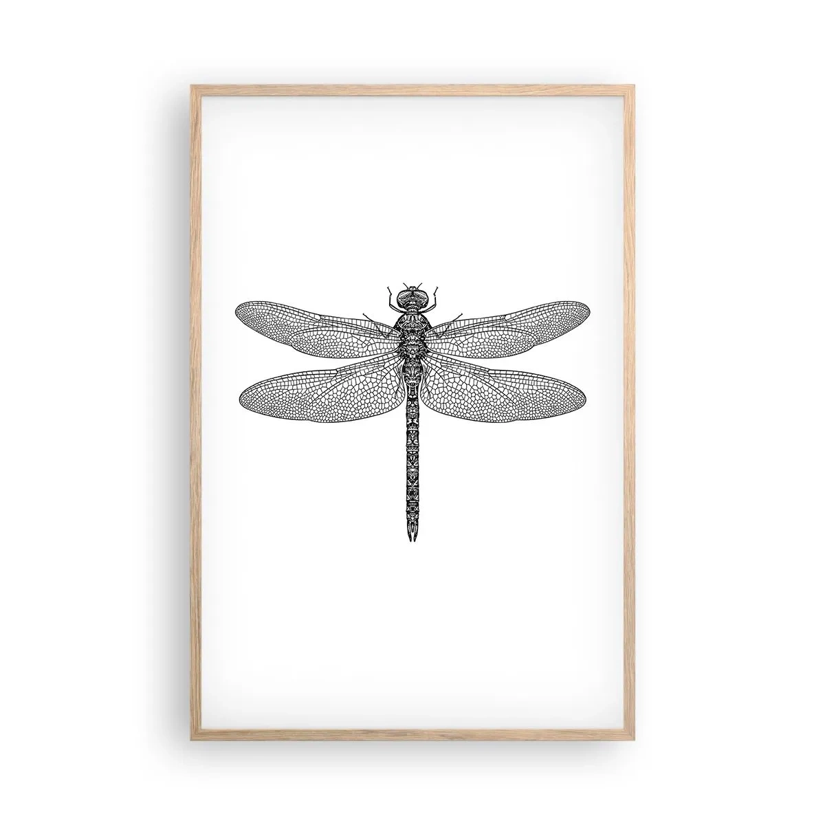 Plakat i ramme af lyst egetræ - Præcision i naturen - 61x91 cm