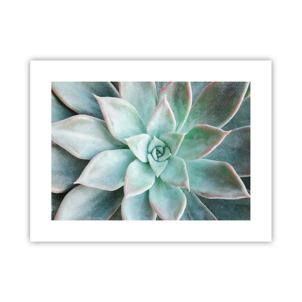 Plakat - Hjertet af ørkenen - 40x30 cm