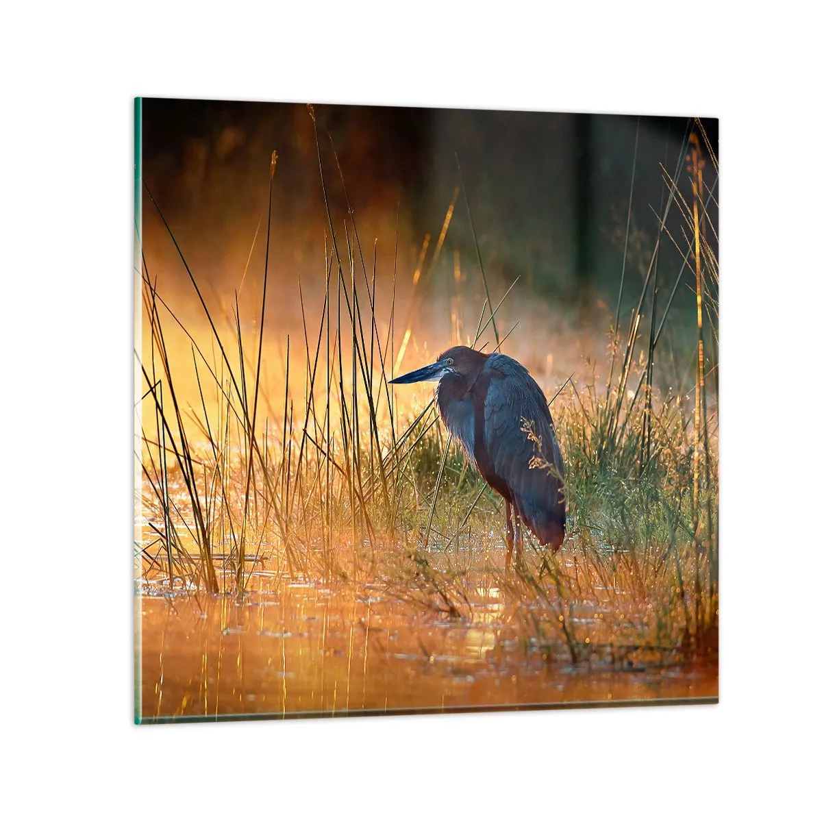 Billede på glas - Giv mig en chance med disse billeder - 40x40 cm