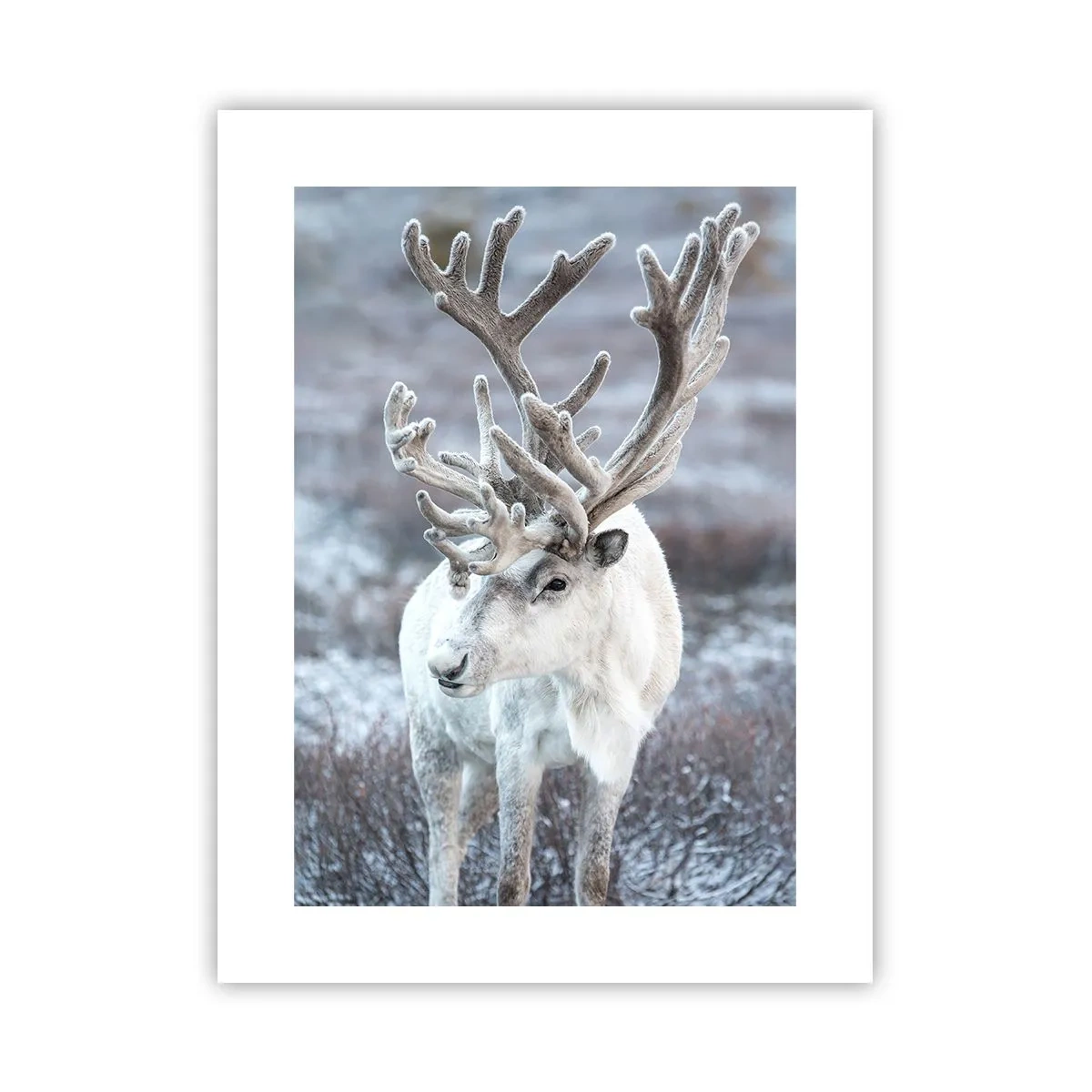 Plakat - Portræt i solen - 30x40 cm