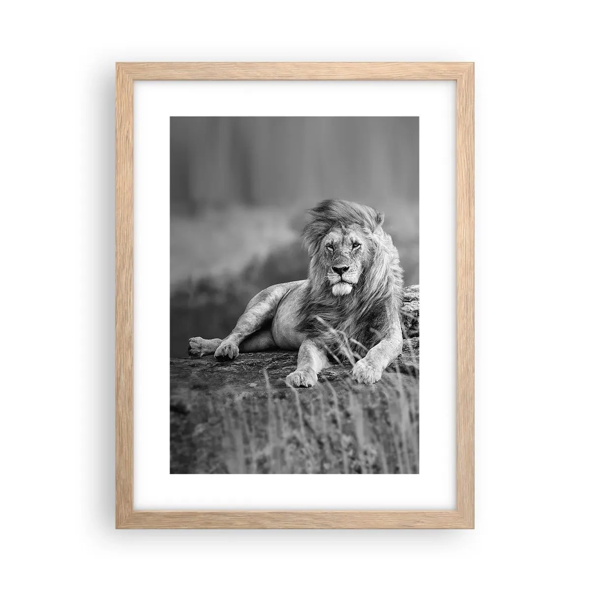 Plakat i ramme af lyst egetræ - Kongelig siesta - 30x40 cm