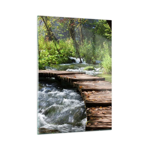 Billede på glas - Over en skummende kaskade - 50x70 cm