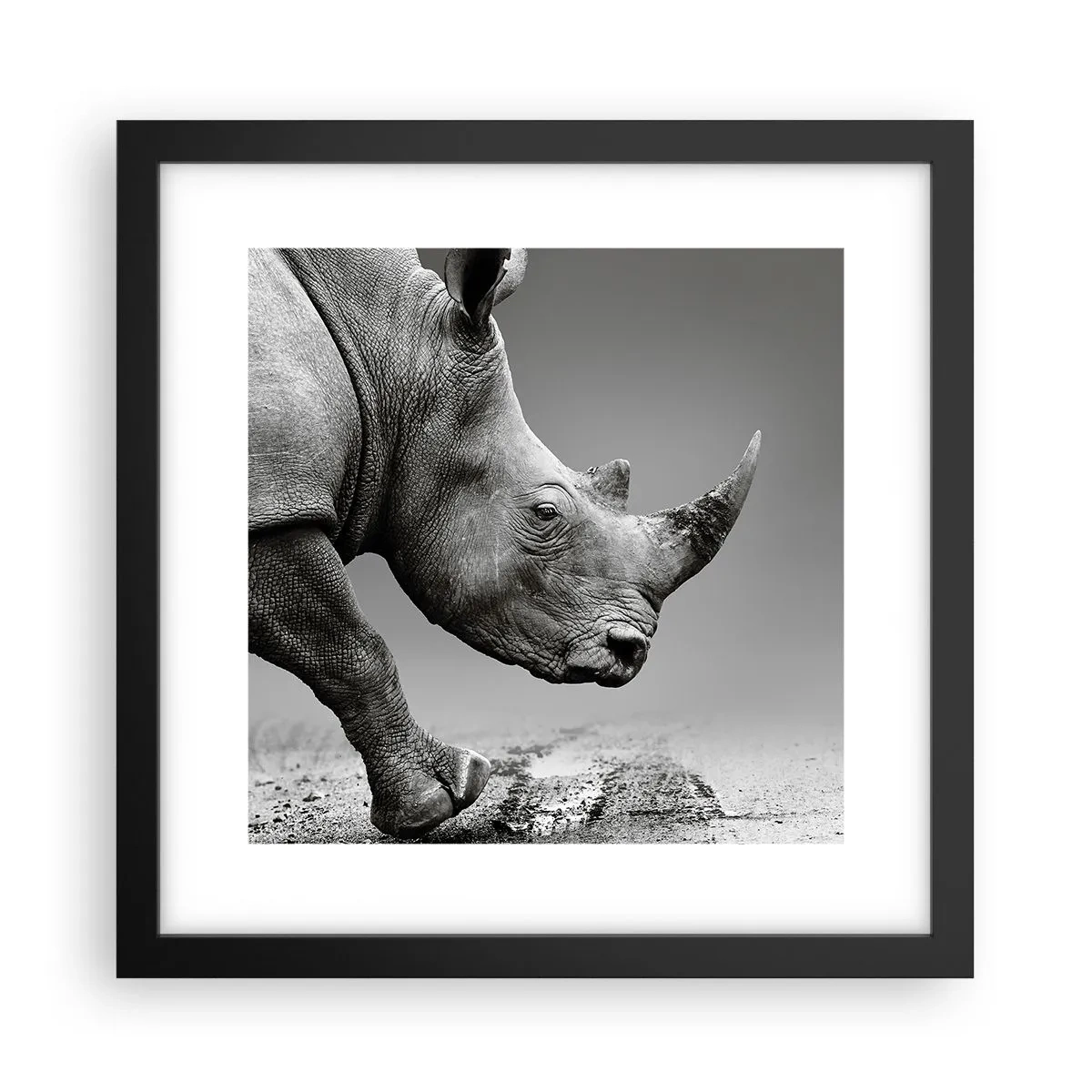 Plakat i sort ramme - En ustoppeli - 30x30 cm