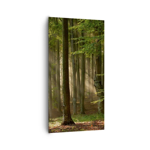 Lærredstryk - Billede på lærred - Strålende på en forårsmorgen - 65x120 cm